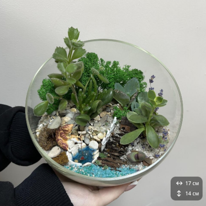 Флорариум «Рыжий кот-рыбак»