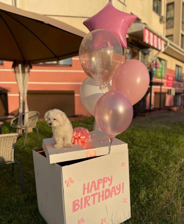 Коробка с шарами «Happy B-day» (для девочки)