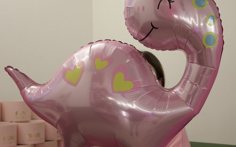 Шар «Динозаврик Pink»