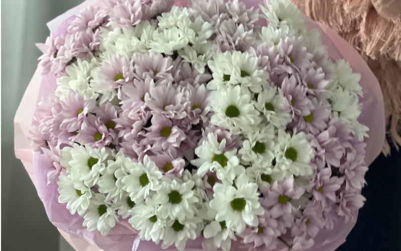 Облако нежности