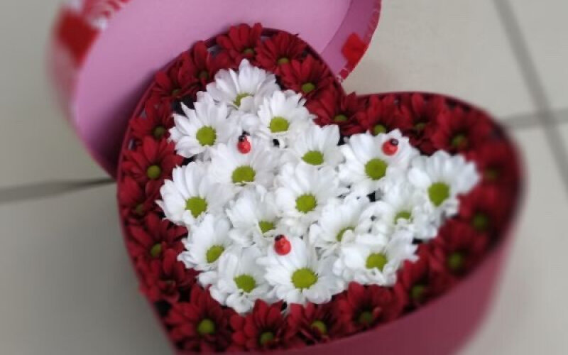 Сердце «Любимой №8»