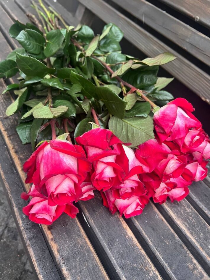 Одноголовая роза