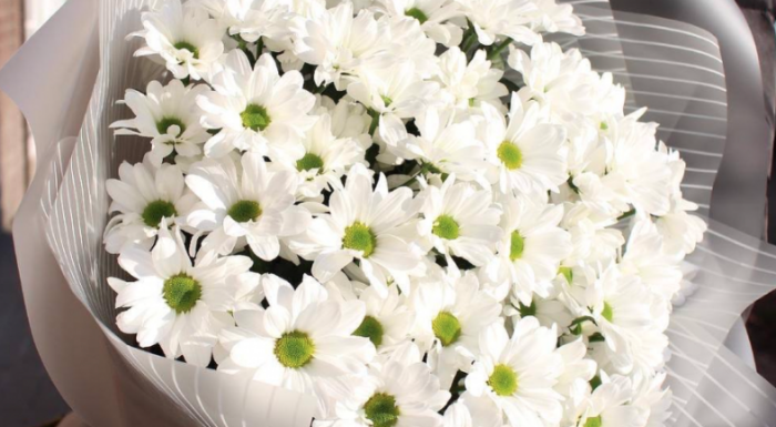 Fresh Flowers