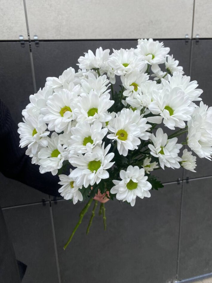 Букет из 5 веток ромашки