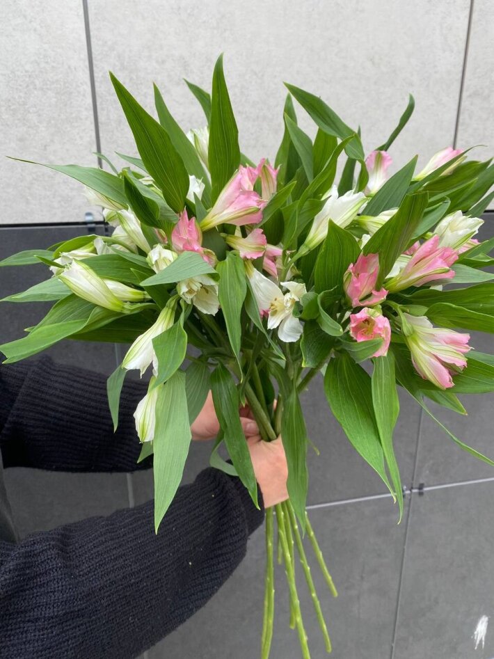 Микс букет из 7 альстромерии