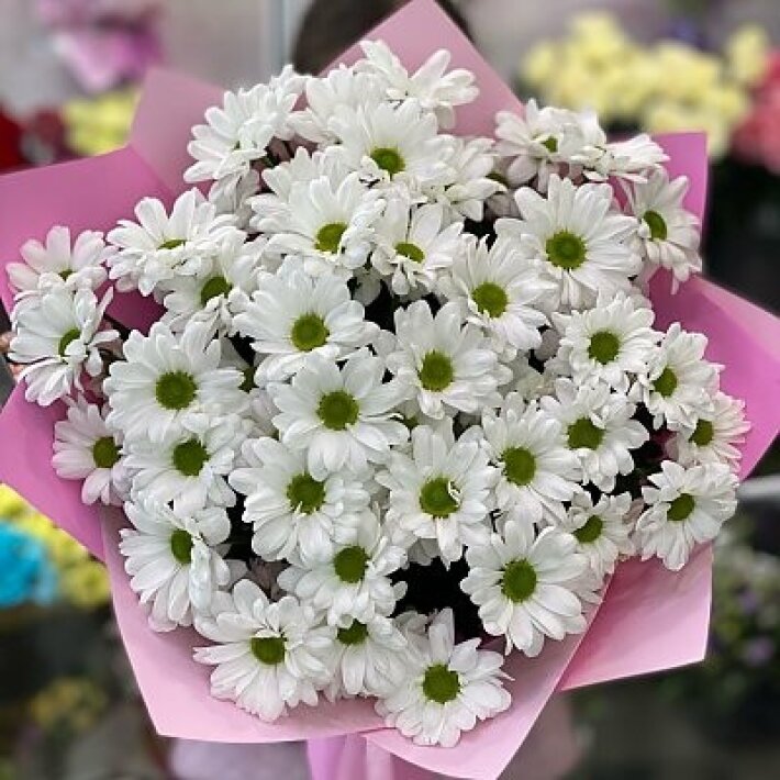 Букет из ромашковой хризантемы Xl