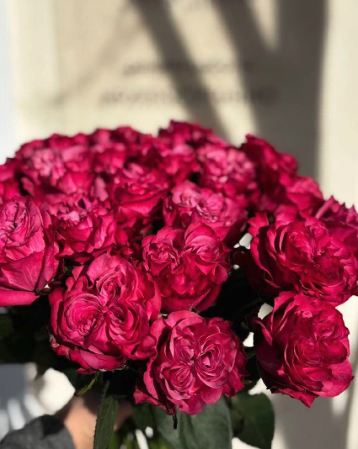 Розы «Эквадор» 60 см