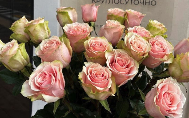 Розы эквадор 80 см