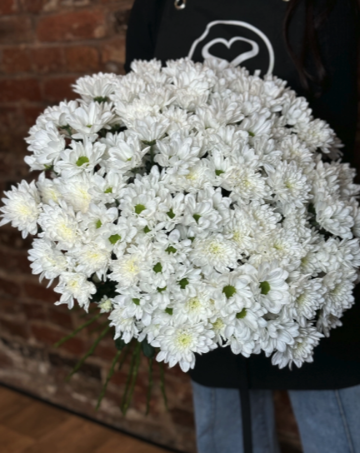 Хризантема кустовая