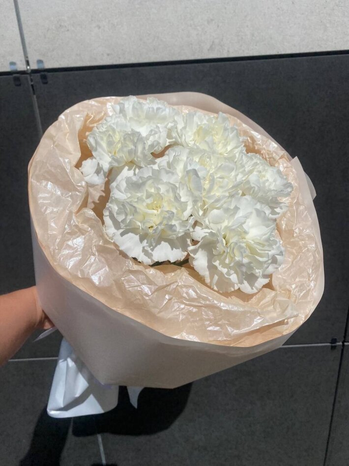 Букет из 7 белых диантусов в упаковке