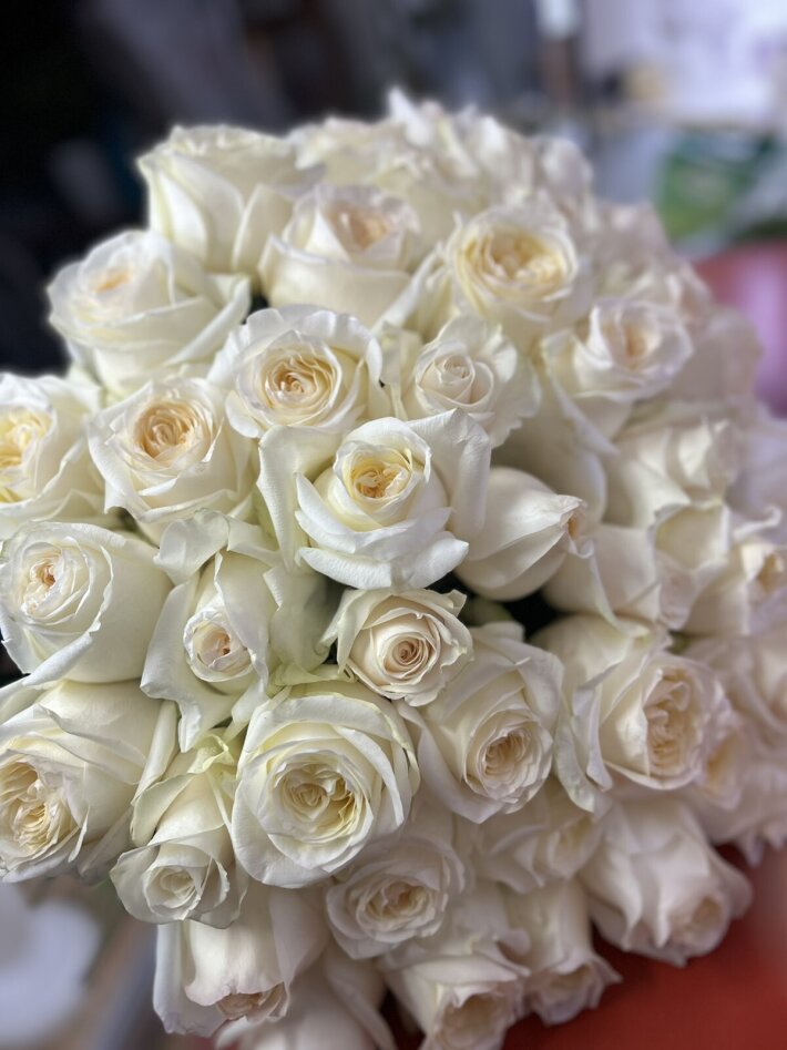 Букет из 55 роз