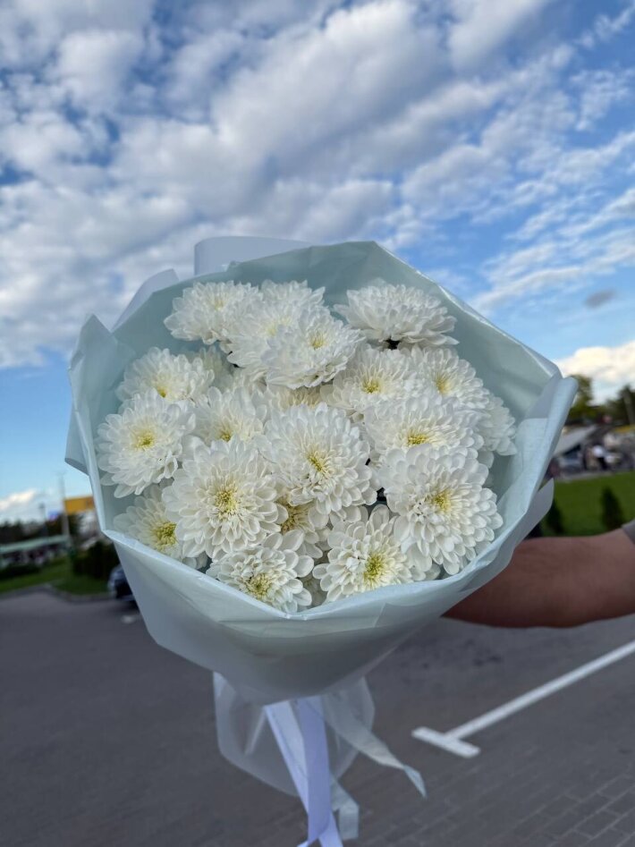 Хризантема