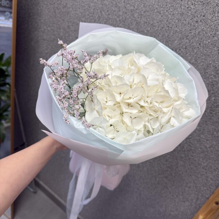 Гортензия «Облачко»