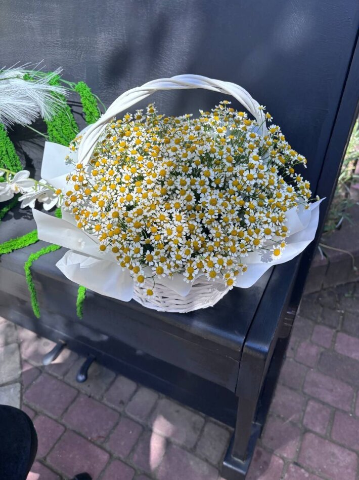 Корзинка ромашек