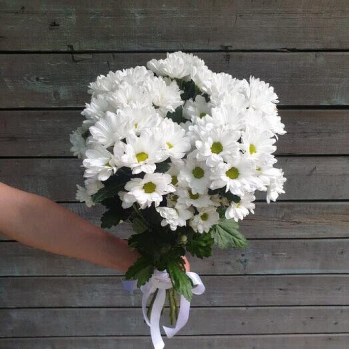 Букет из хризантемы «Бакарди»