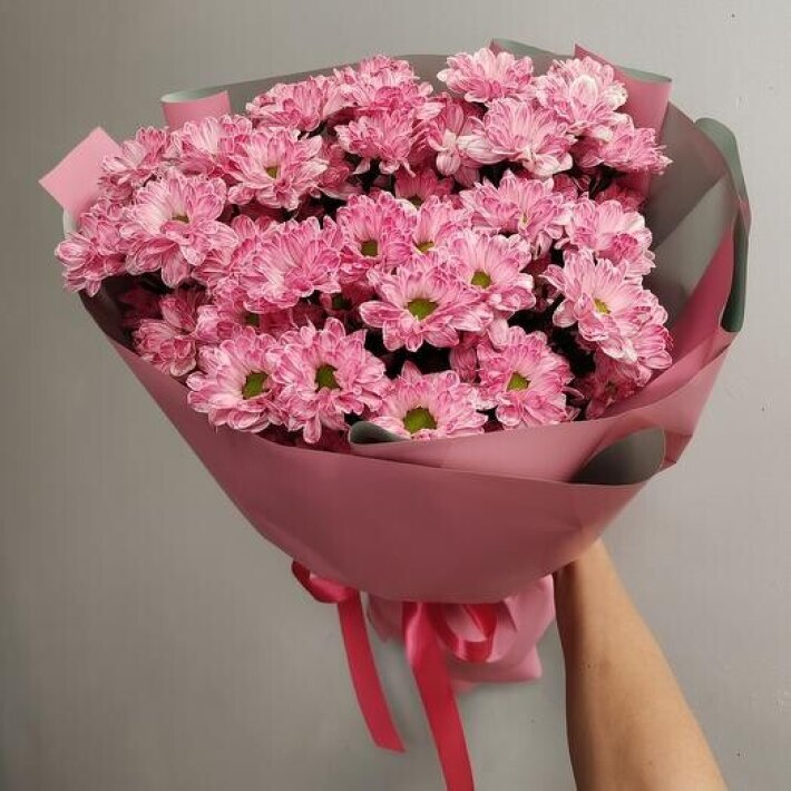 Розовая хризантема