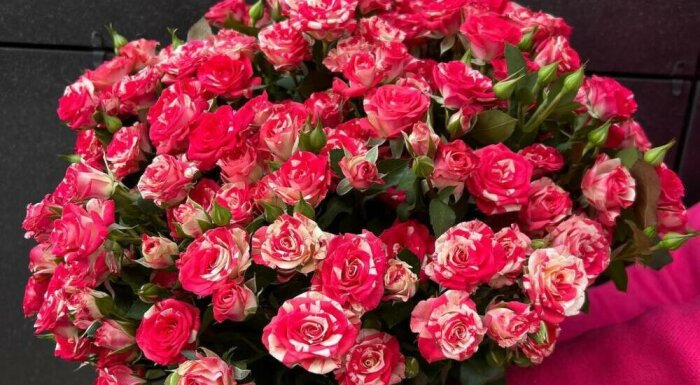 Цветы «Люби мечтай»