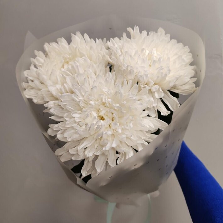 Букет из одноголовой белой хризантемы