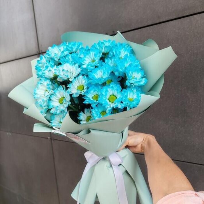 Голубая хризантема