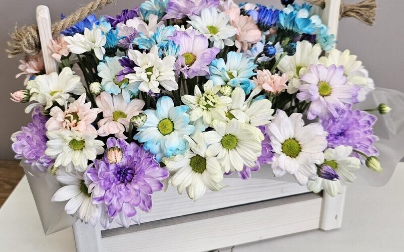 Ящик деревянный с хризантемой «Радужный»