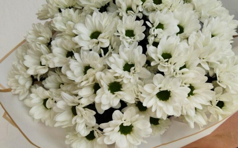 Букет «~ 51 ромашка»