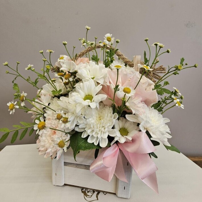 Ящик с хризантемой и ромашкой