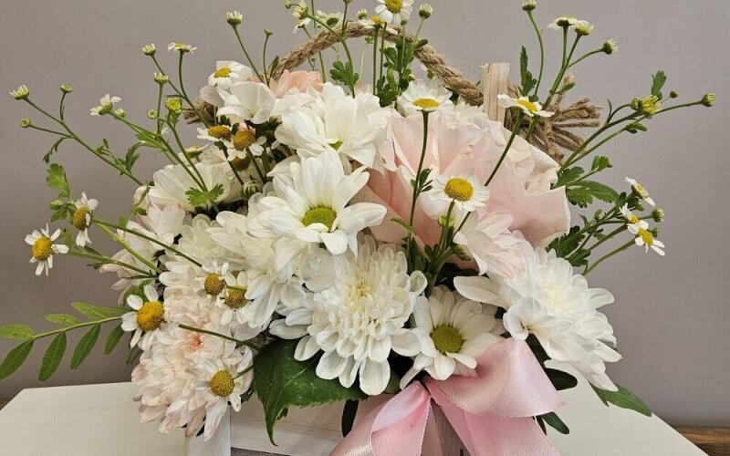 Ящик с хризантемой и ромашкой