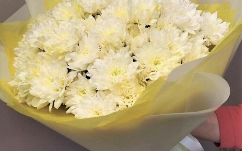 Монобукет из 9 белых хризантем