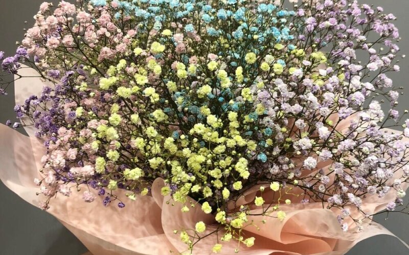 Букет из разноцветной гипсофилы