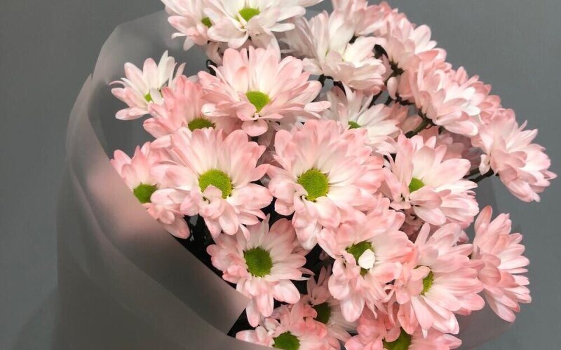 Букет из персиковой хризантемы