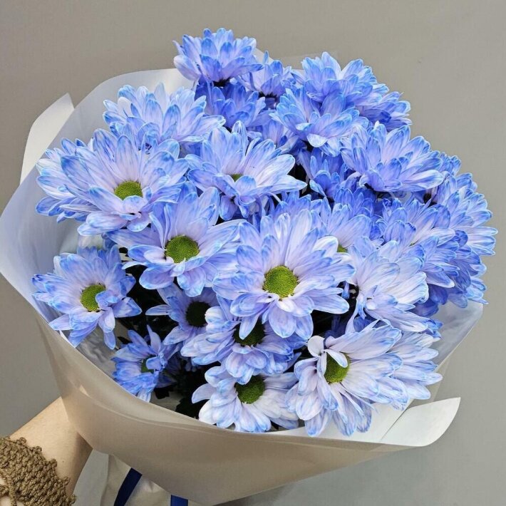 ~51 небесно-голубая ромашка