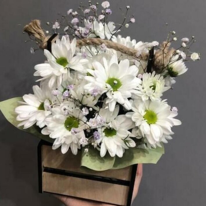 Белая хризантема в ящике с гипсофилой