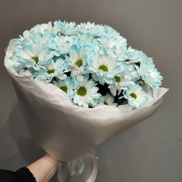 Букет «~51 нежно бирюзовая ромашка»