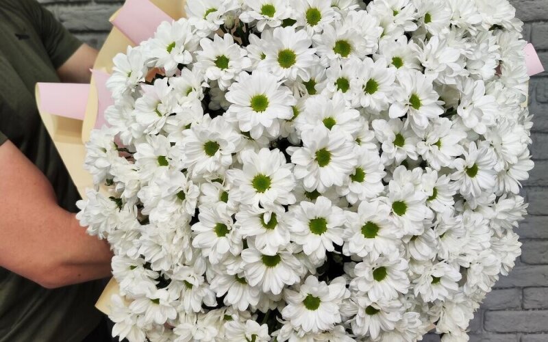 Букет «~301 ромашка» (31 веточка)