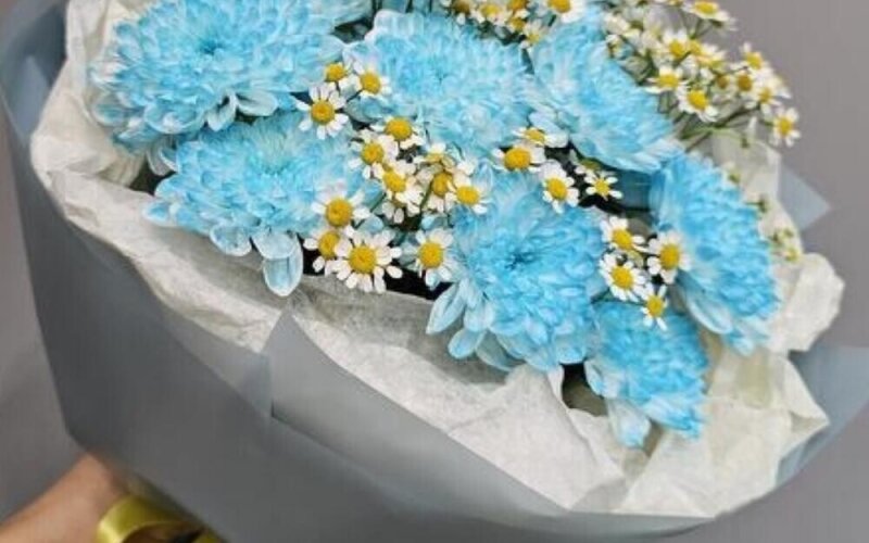 Хризантема с ромашкой