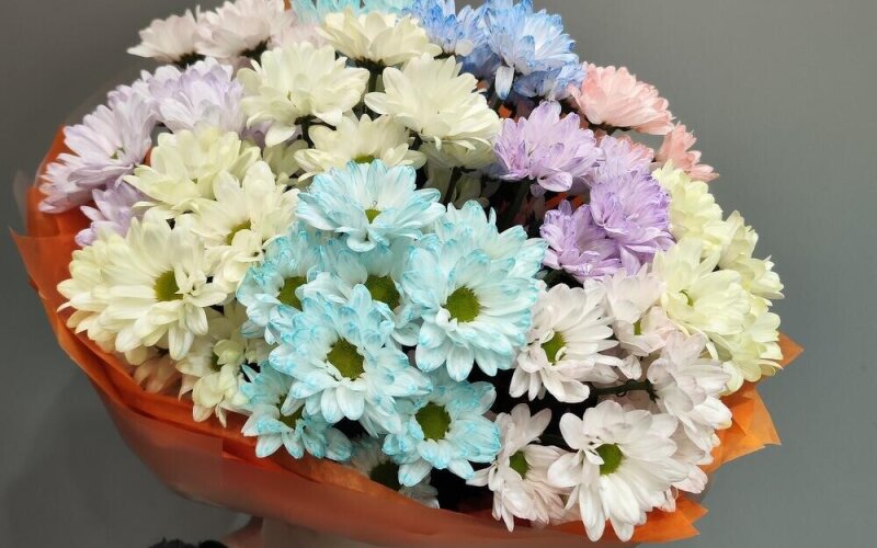 Букет «~101 радужная ромашка»