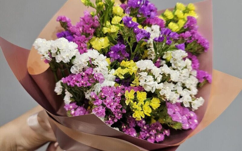 Букетик статицы