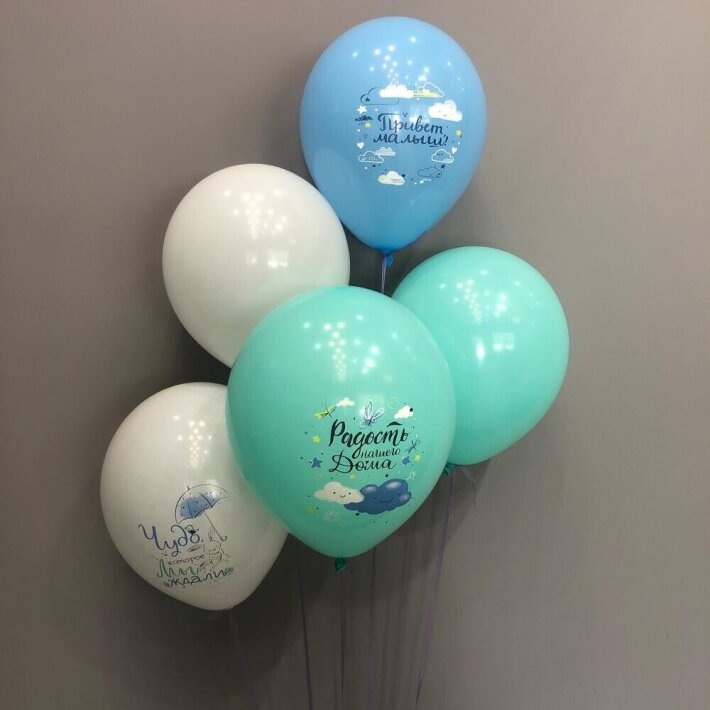 Набор из 5 шаров на выписку из роддома