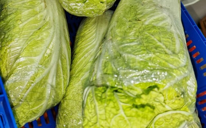 Капуста пекинская