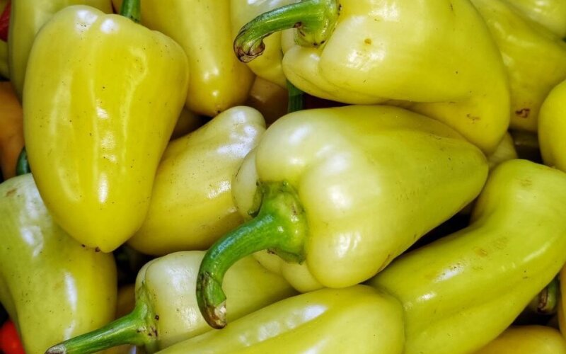 Перец бело-зеленый