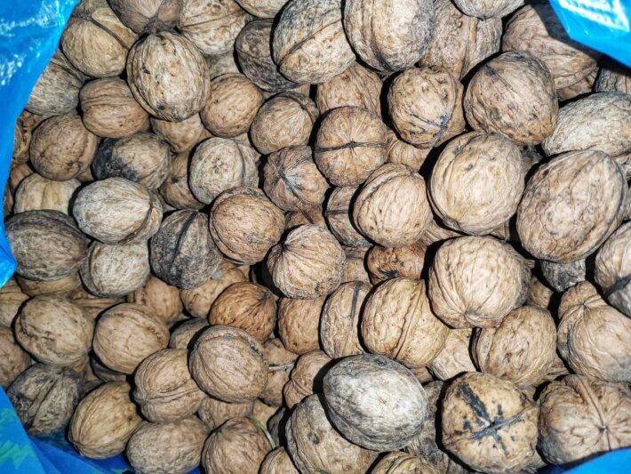 Орехи грецкие