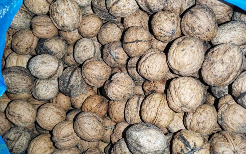 Орехи грецкие