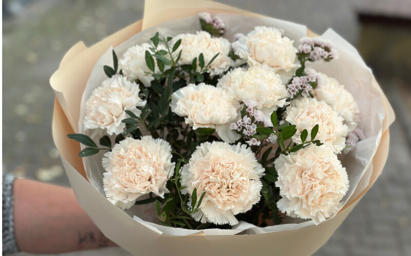 Букет из 11 диантусов