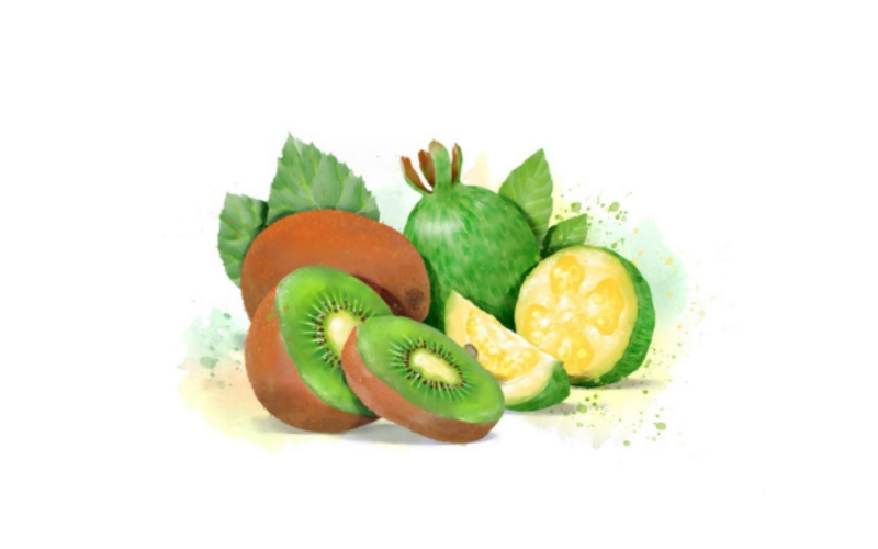 Лимонад «Киви-фейхоа»