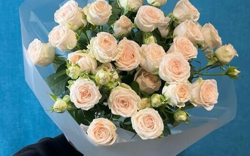 №18 Букет из 5 кустовых роз Софи