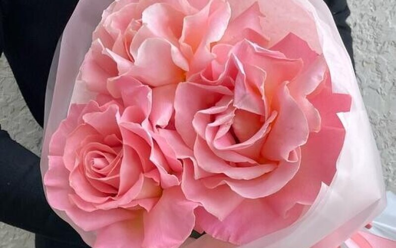 №37 Нежный букет из 3 французских роз