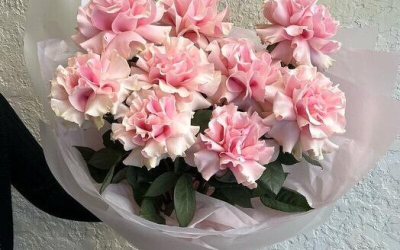 №34 Монобукет из 9 нежно-розовых французских роз