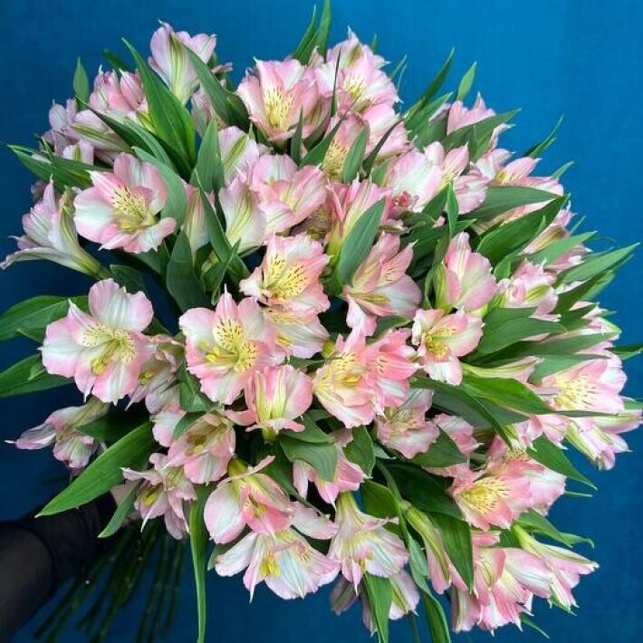 №46 Монобукет из 13 нежно-розовых альстромерий