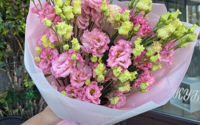 №41 Монобукет из 7 веточек эустомы