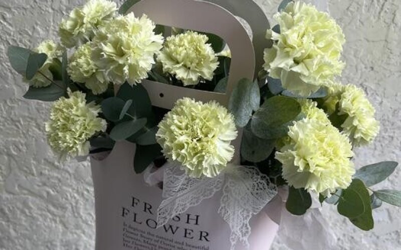 №71 Стойкие, нежные , салатовые диантусы с ароматным эвкалиптом в сумочке «Fresh flower»